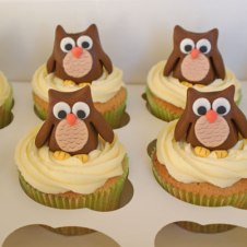 Celebrate-Cakes-Owls